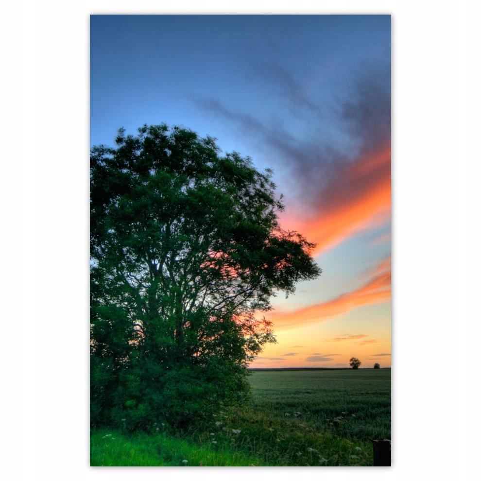 

Plakat 62x93 Płonące niebo