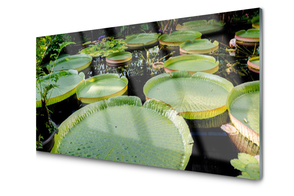 

Panel szklany Płytka Liście Jezioro 120x60 + Klej