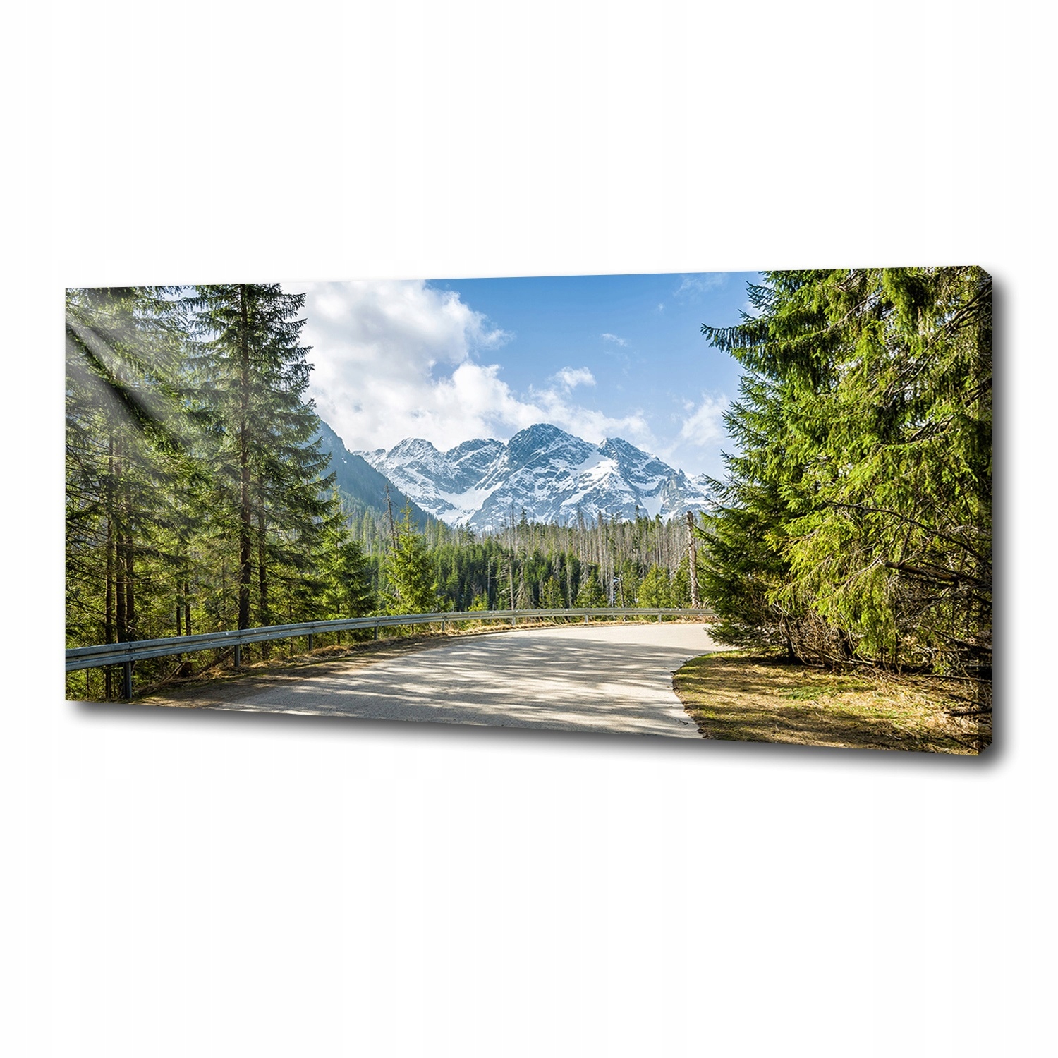 

Foto obraz canvas na ścianę Droga Tatry 125x50 cm