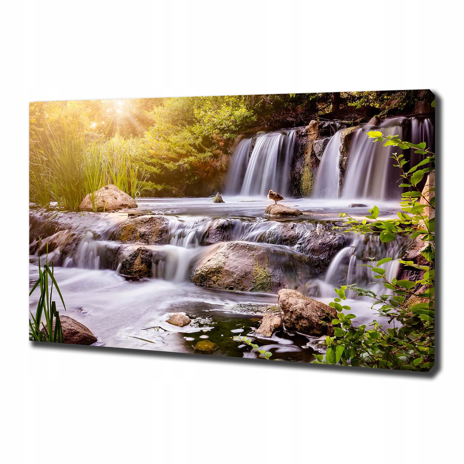 

Foto obraz canvas na ścianę Wodospad 100x70 cm