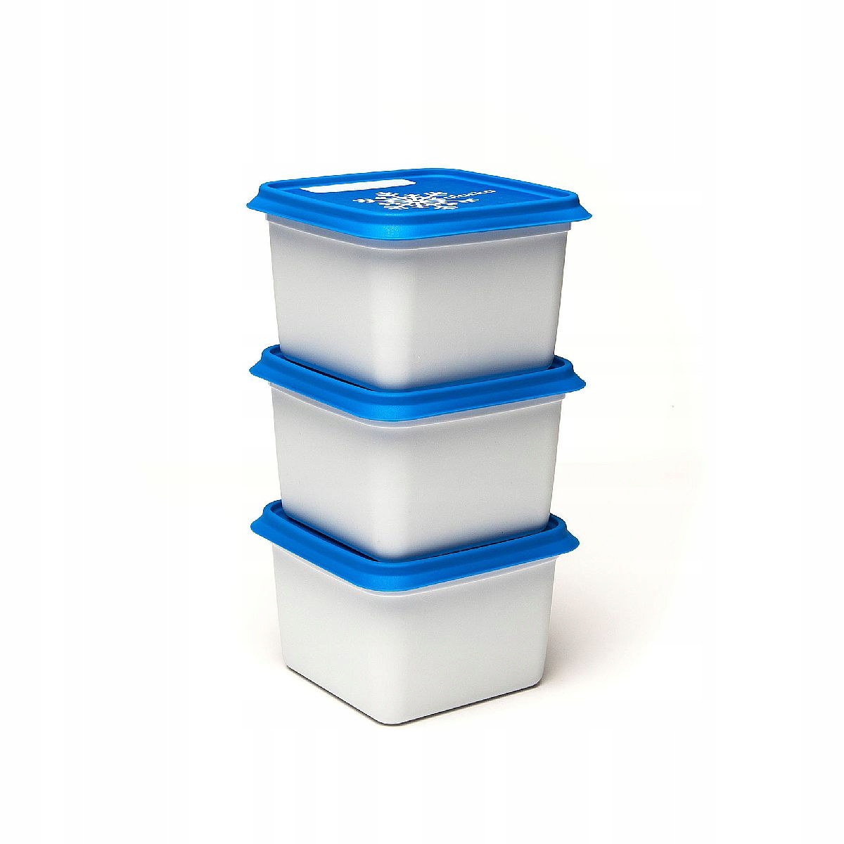 

Amuse Pojemniki do zamrażarki Alaska 3x750 ml