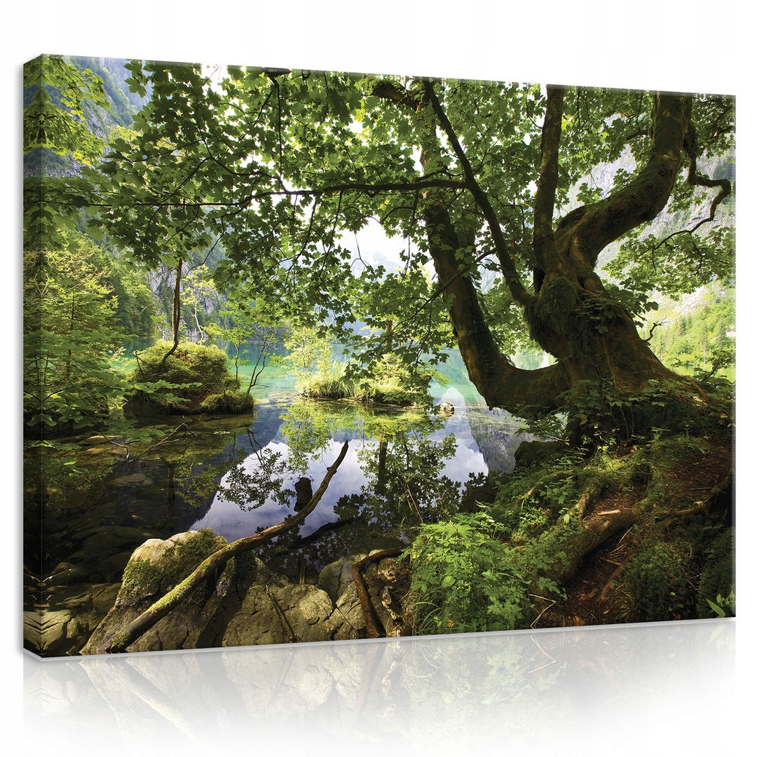 Obraz 100x75 Příroda les jezero odraz zeleň klid harmonie