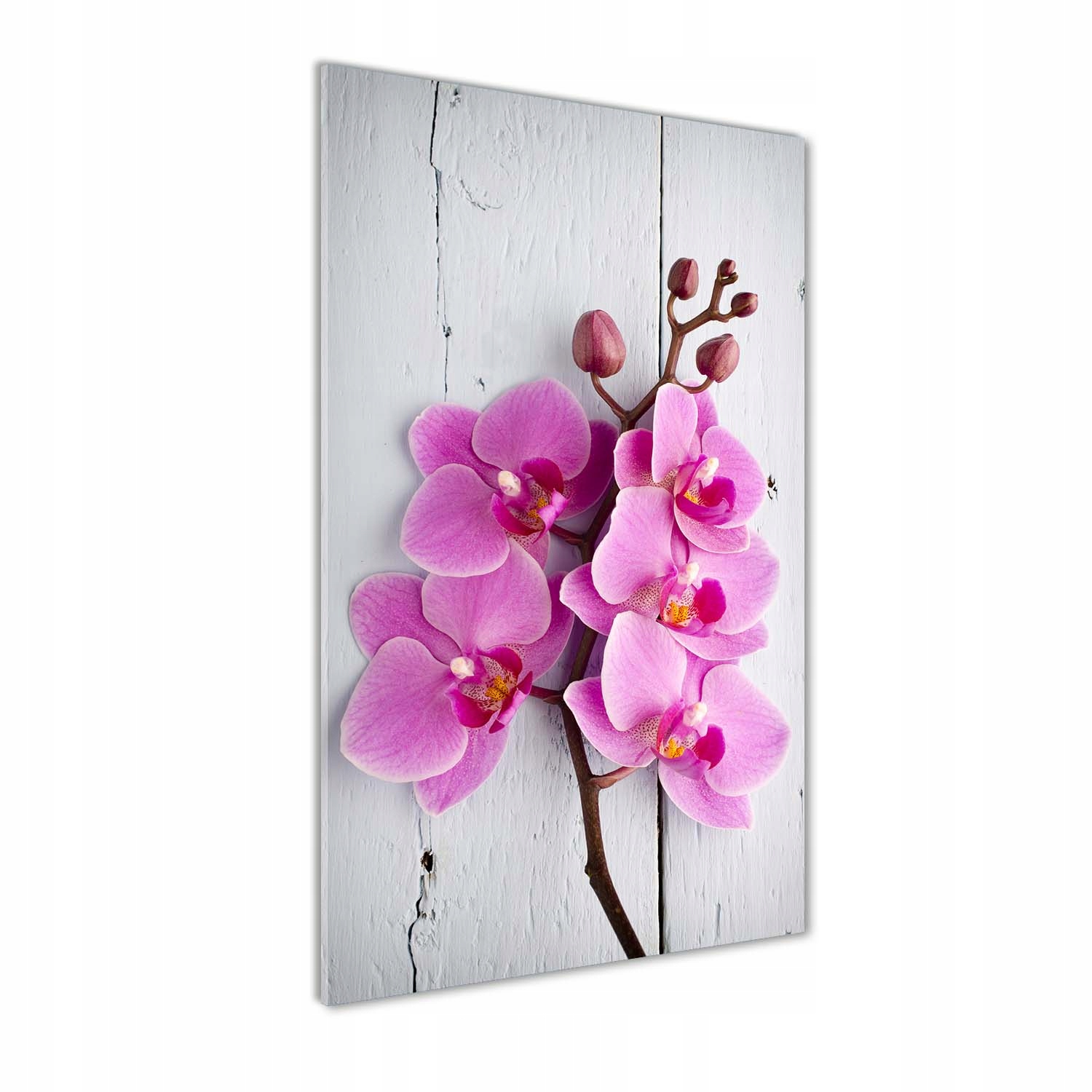 

Foto obraz szkło akrylowe Różowa orchidea 60x120cm