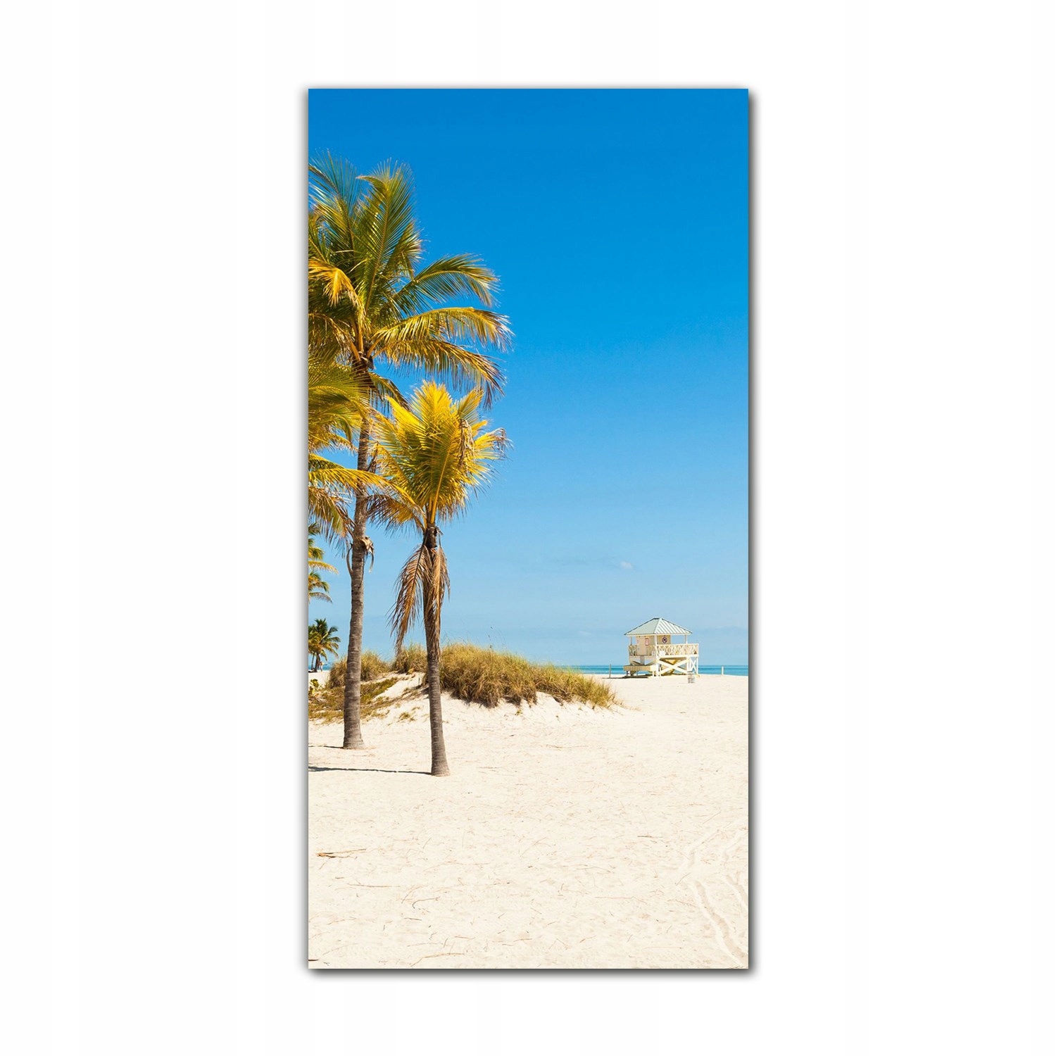 

Foto na szkle na ścianę 70x140 Floryda Miami palmy
