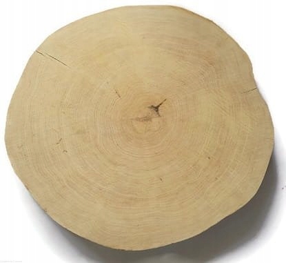 Velký Dřevěný plát 40-45/5 cm dřevěná kolečka z břízy bez kůry