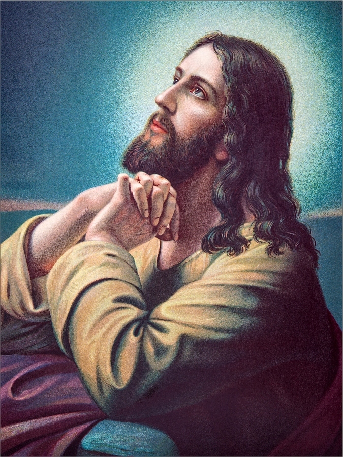 Obraz na plátně Modlitba Ježíše Zahrada 50x70cm