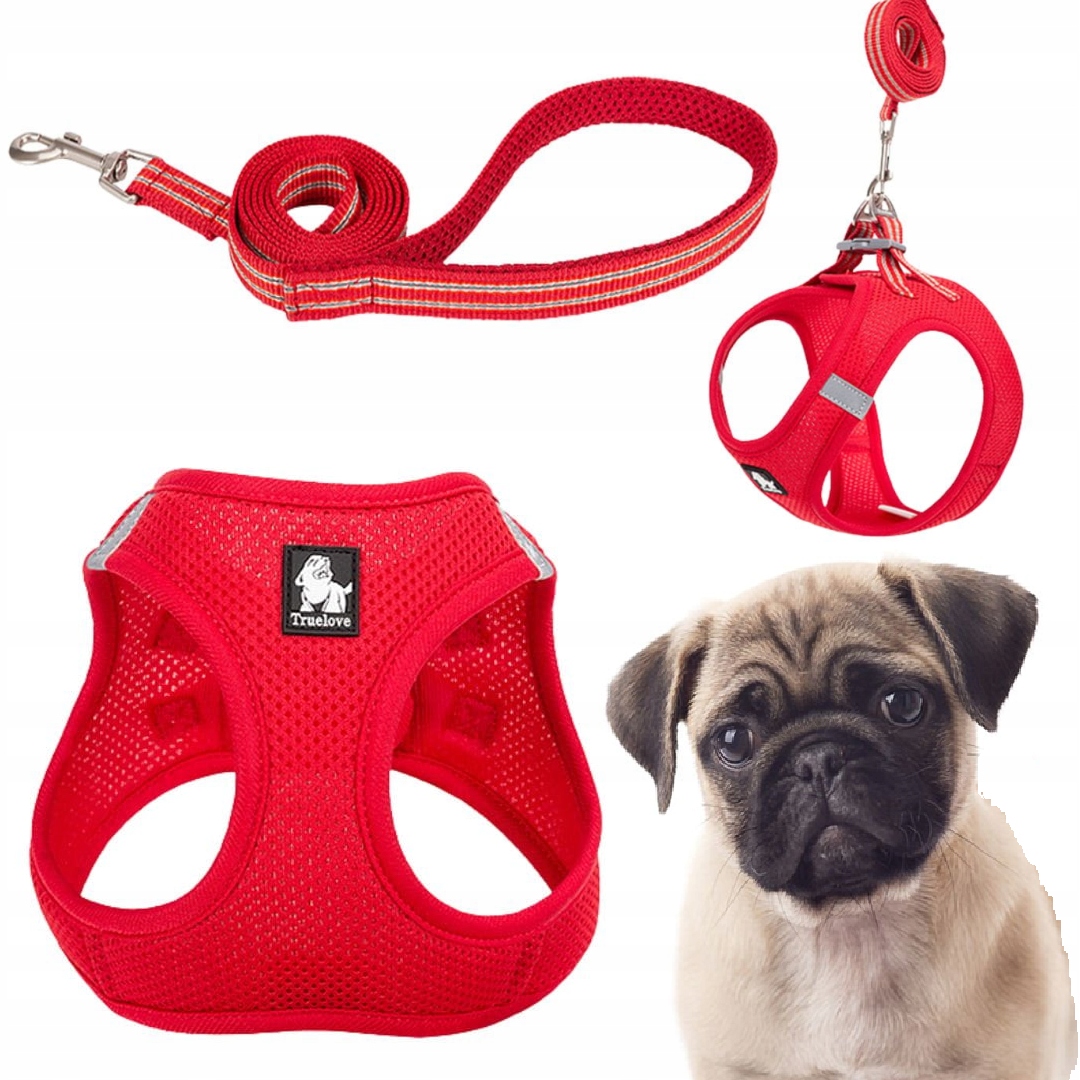 Postroj Vodítko Pro Malého Psa Kočky Lehké Truelove Mini Červené L Sada
