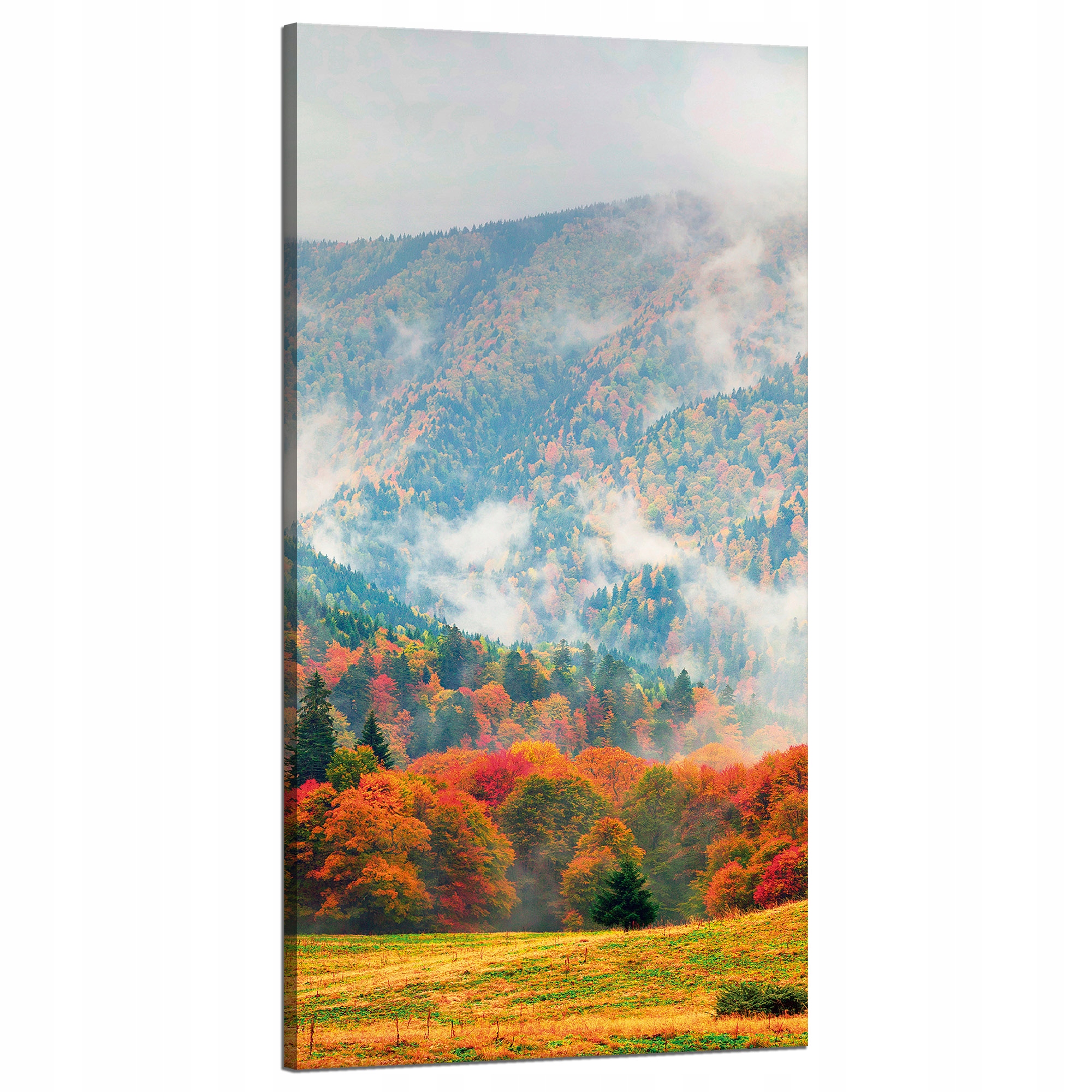 Obraz na plátně Hora Lesy Louky Mraky Příroda 60x120 cm