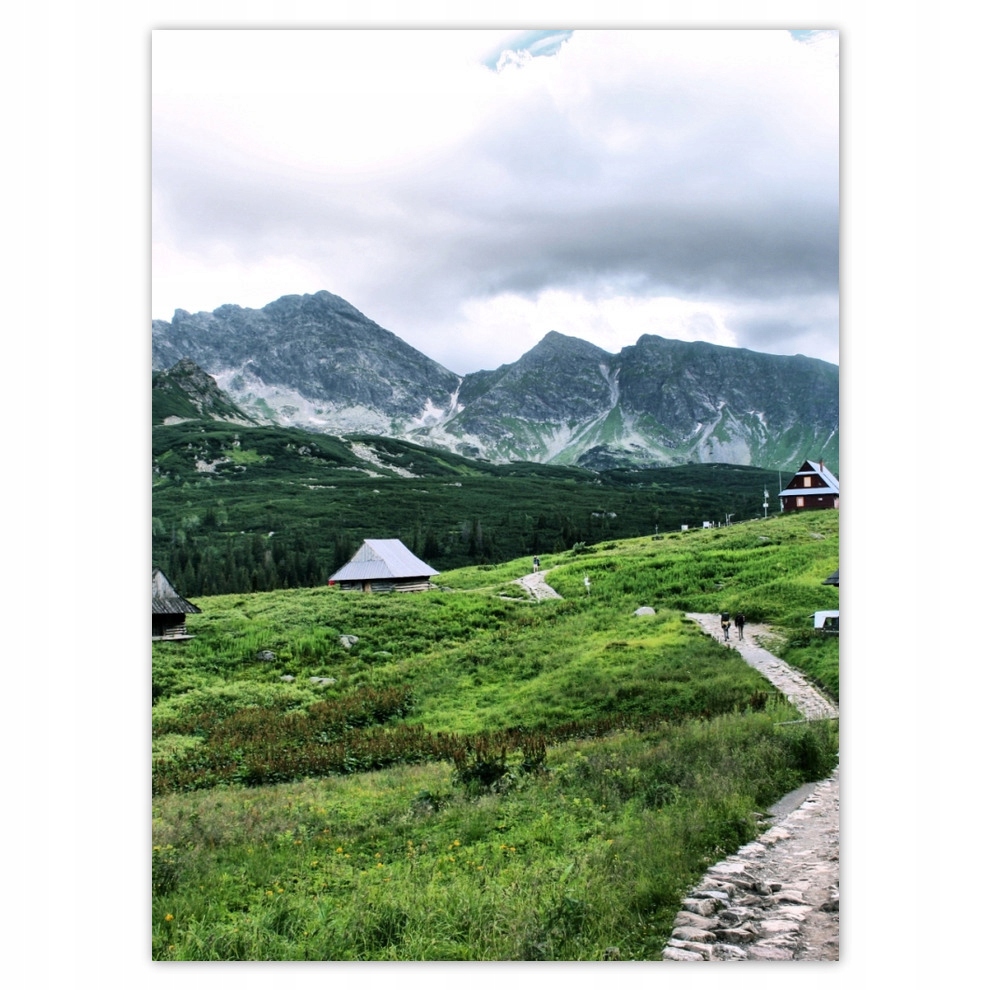 

Plakaty 100x135 Tatry Hala Gąsienicowa