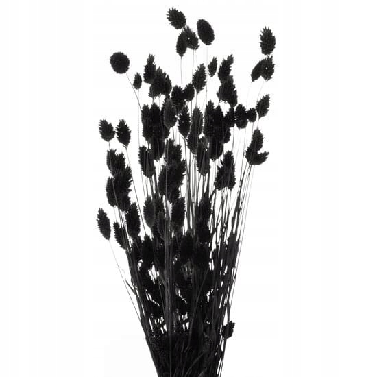 

Czarny bukiet traw z naturalnego suszu 70 cm