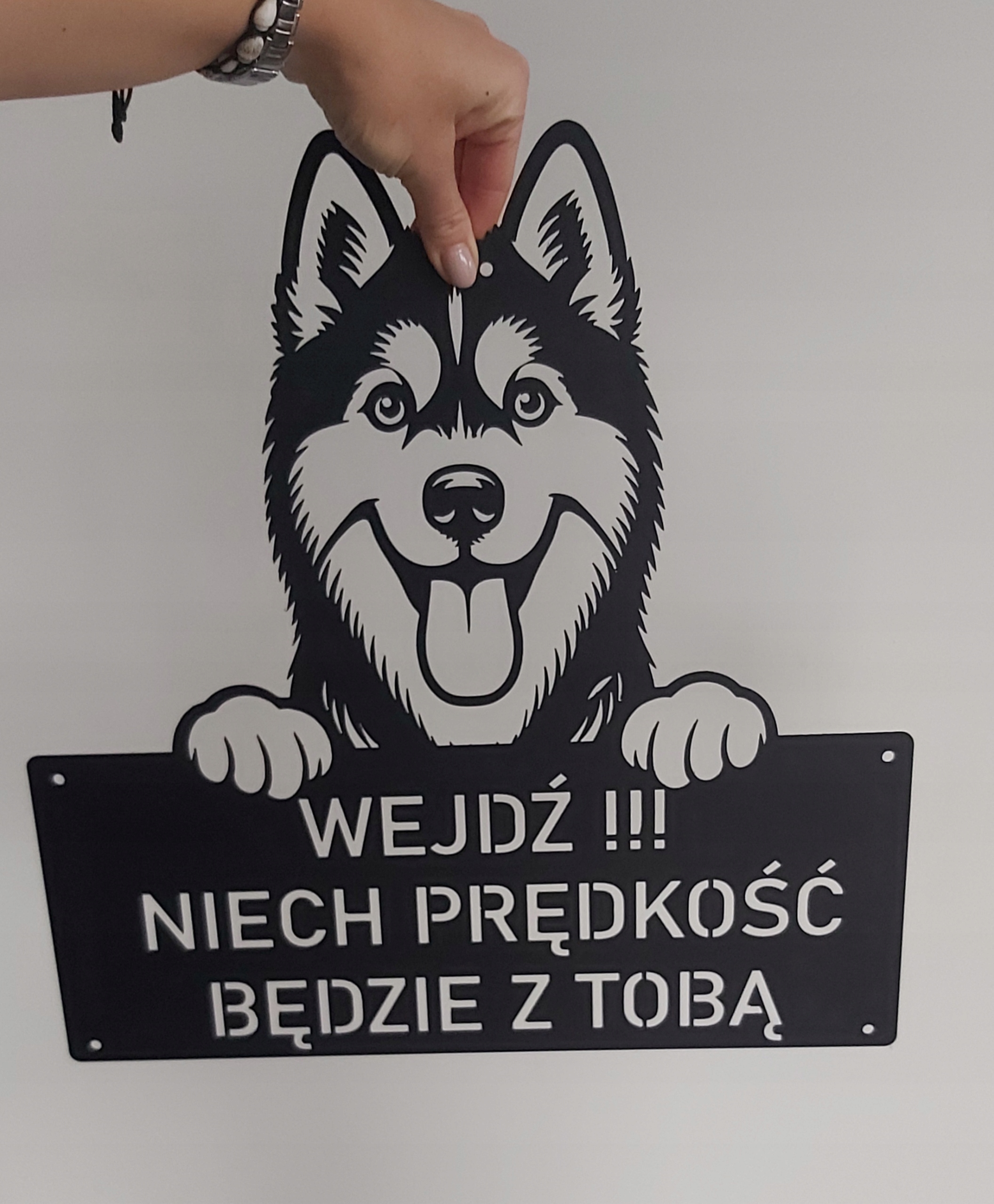 Tabulka Pes na branku oplocení Husky