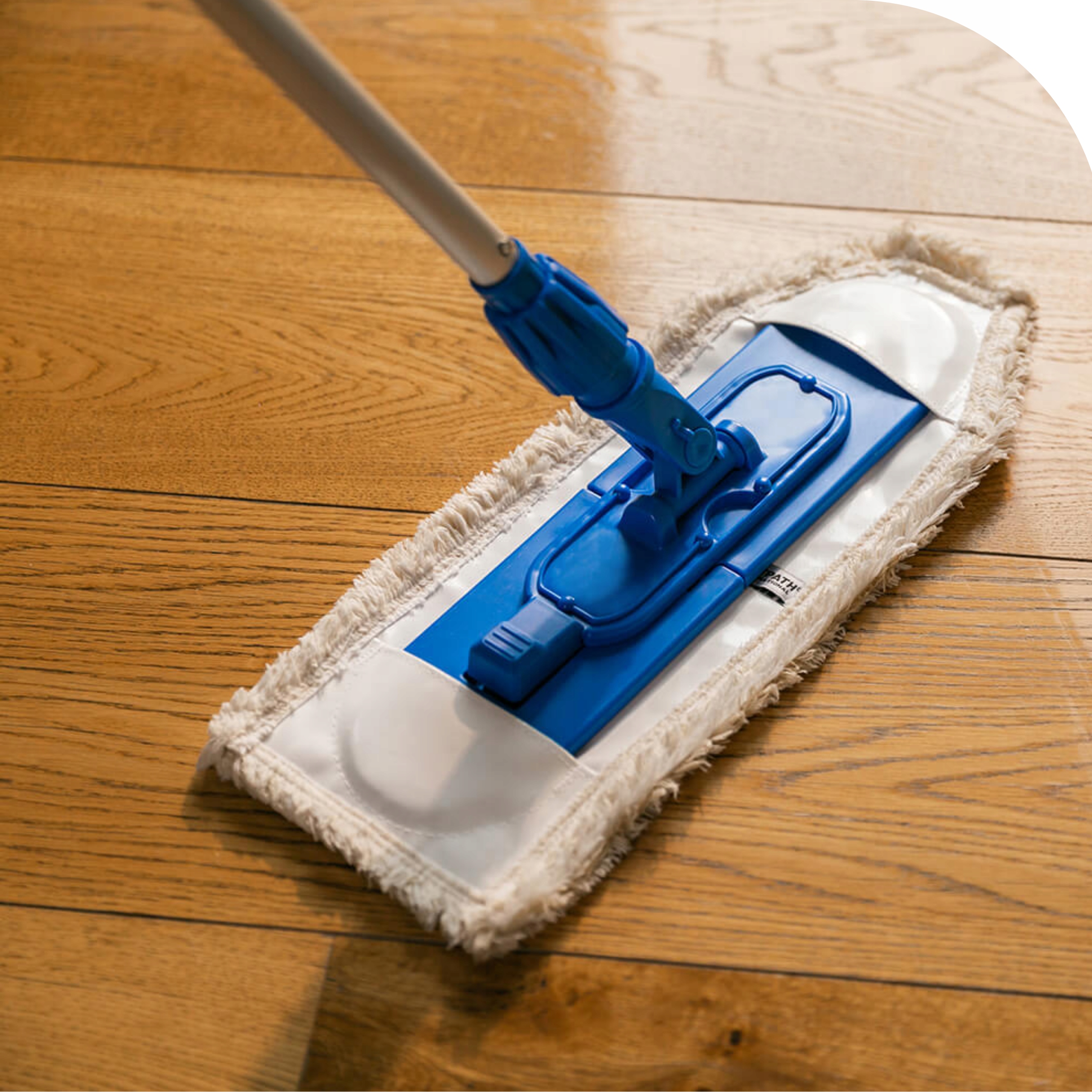 Raypath Mop Płaski + 4szt Wkłady do Mopa Paneli Okien Tapicerki Regulowany Marka Raypath