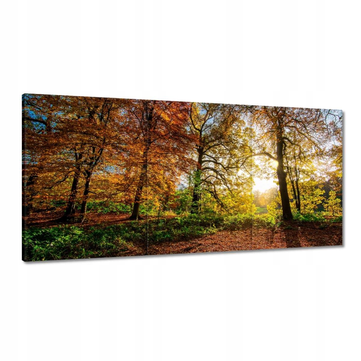 Obrazy 180x90 Krajina