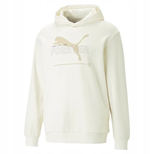 Bluza męska Puma Essentials Men's Hoodie 67329399