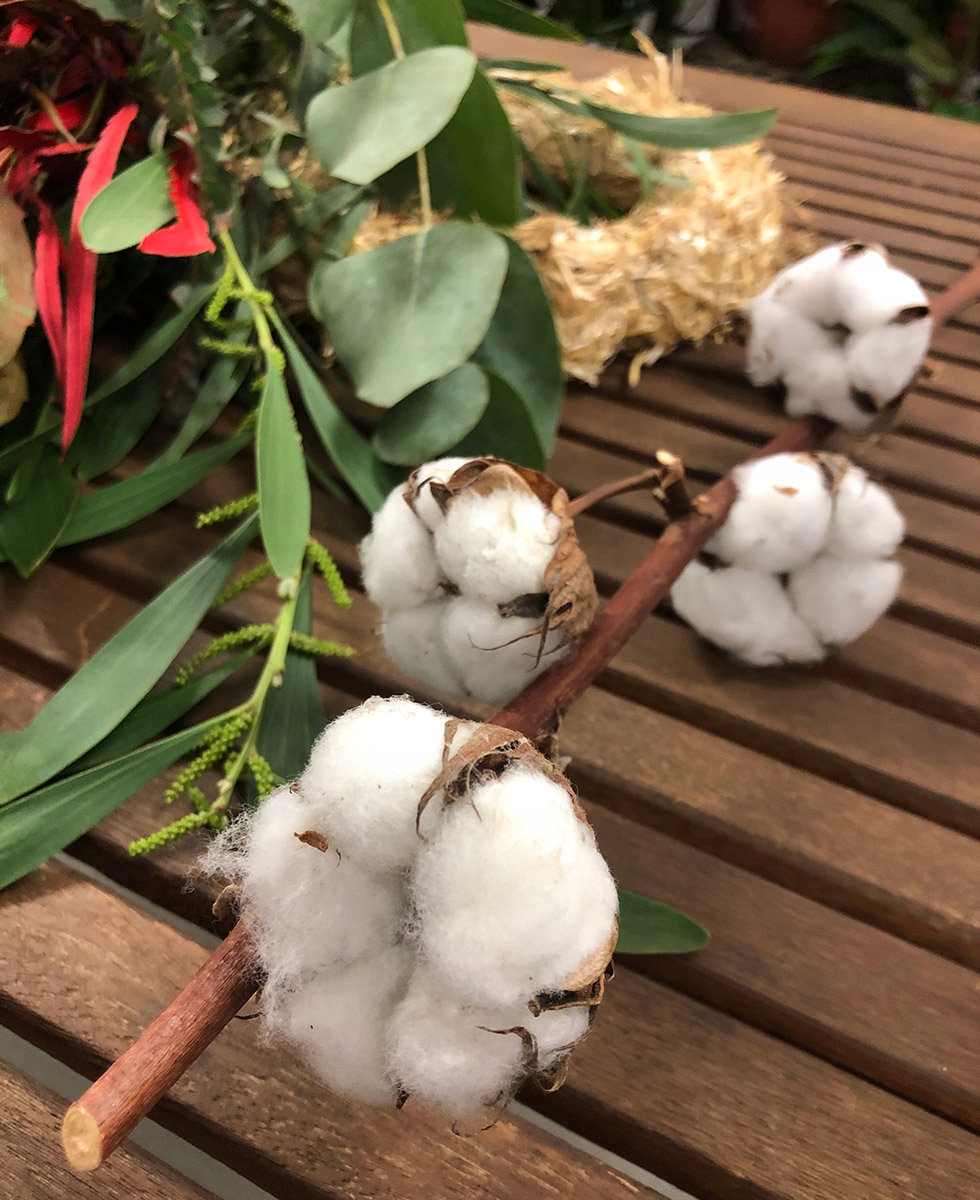 Gałązka Bawełny Naturalna suszona, 50cm Typ inny