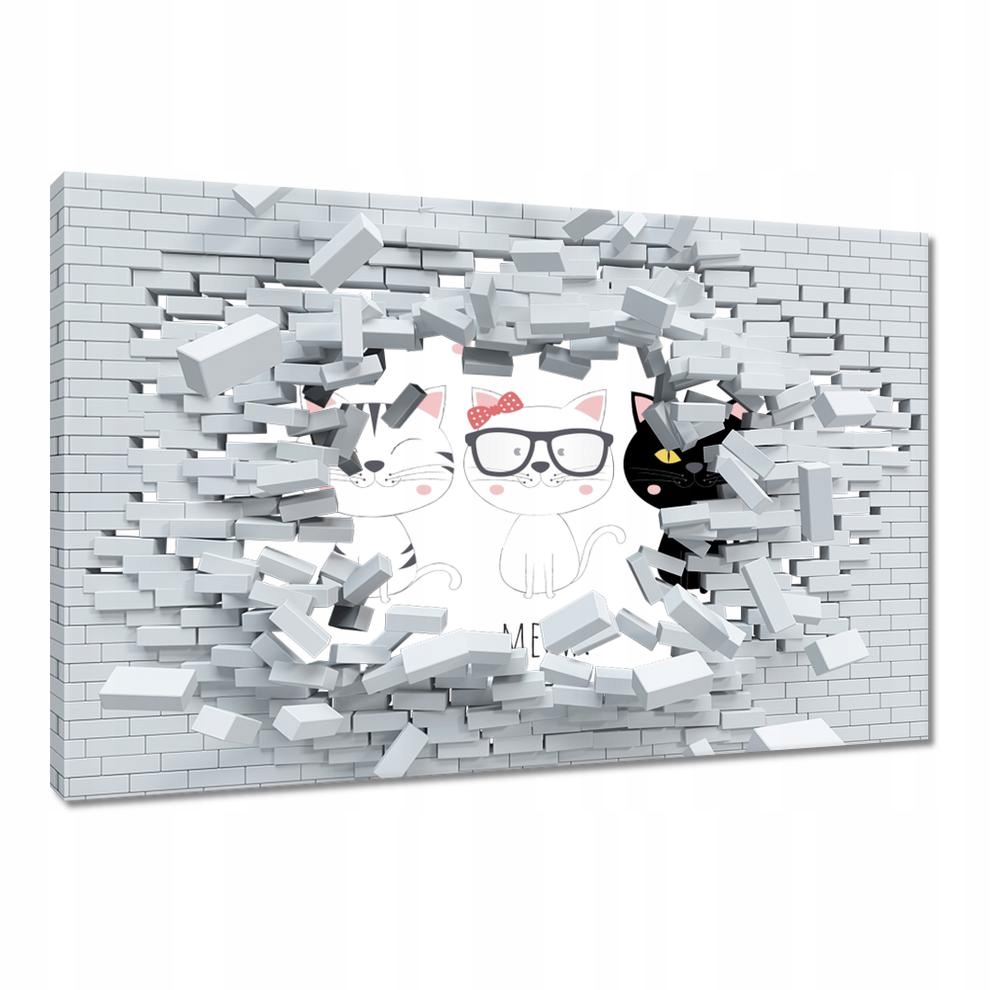 

Obrazy 60x40 Kot Kotek Kotki Kicia