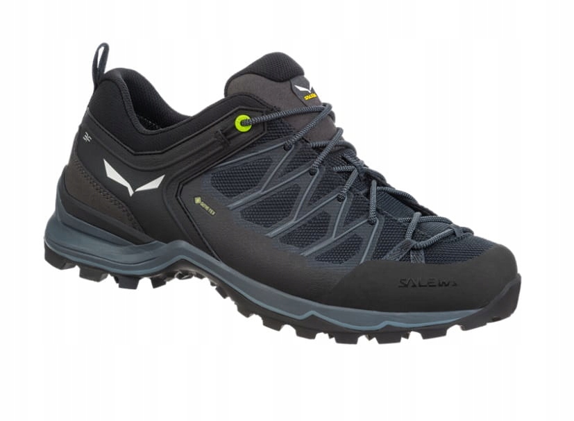 Buty Męskie Salewa Mtn Trainer Lite Gtx black/black 44
