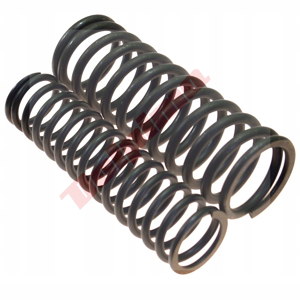 Pružina Wacker (0113843