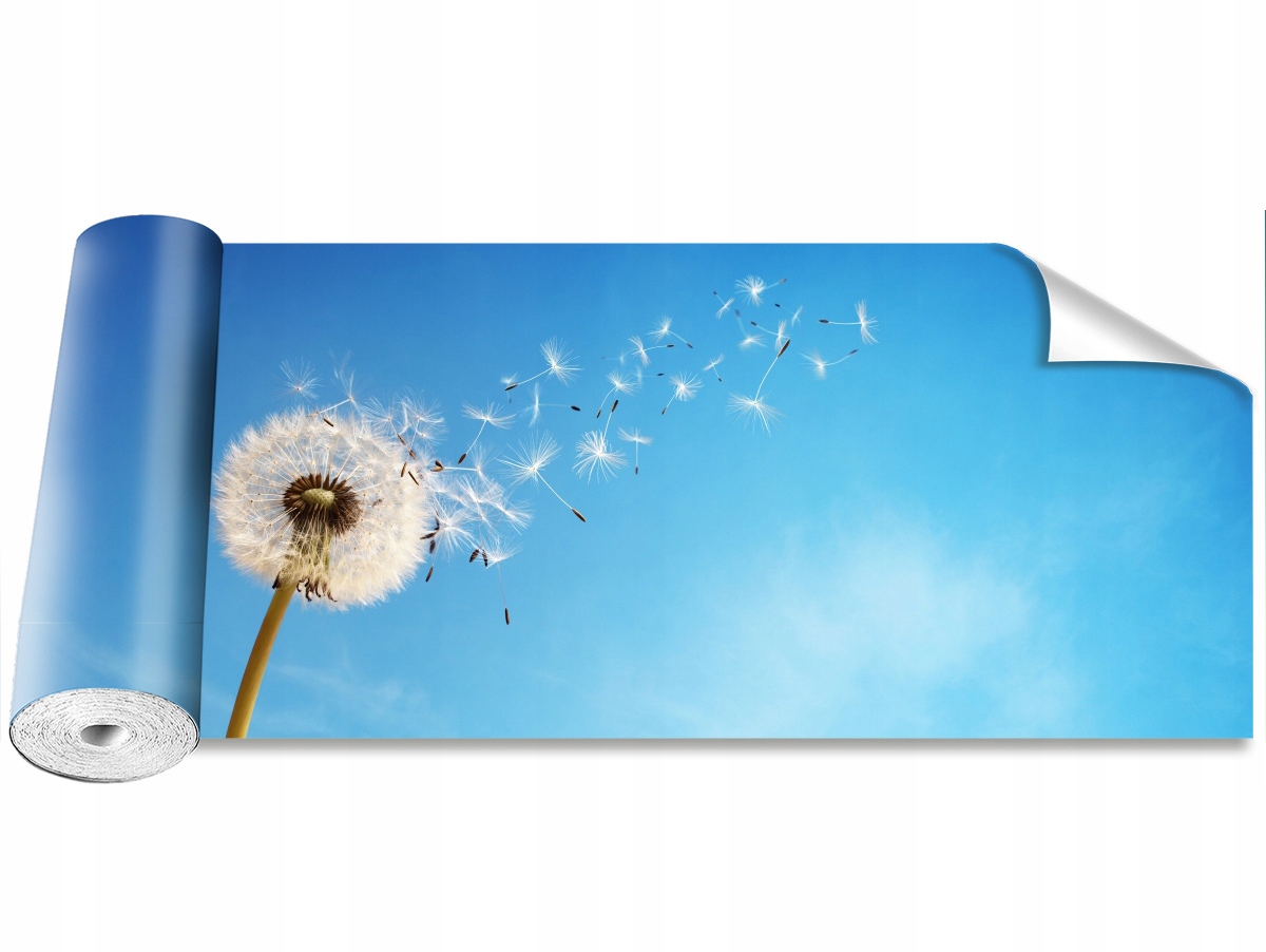 

Tapeta Samoprzylepna Dmuchawiec 250x104