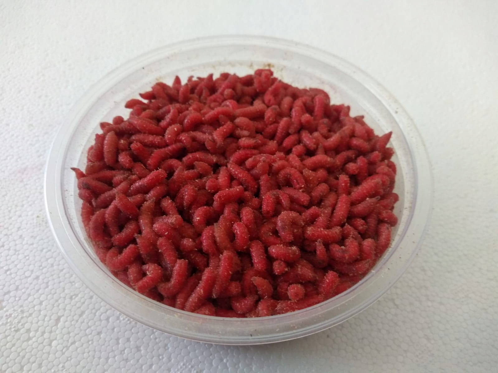 Robak czerwony 250ml opakowanie