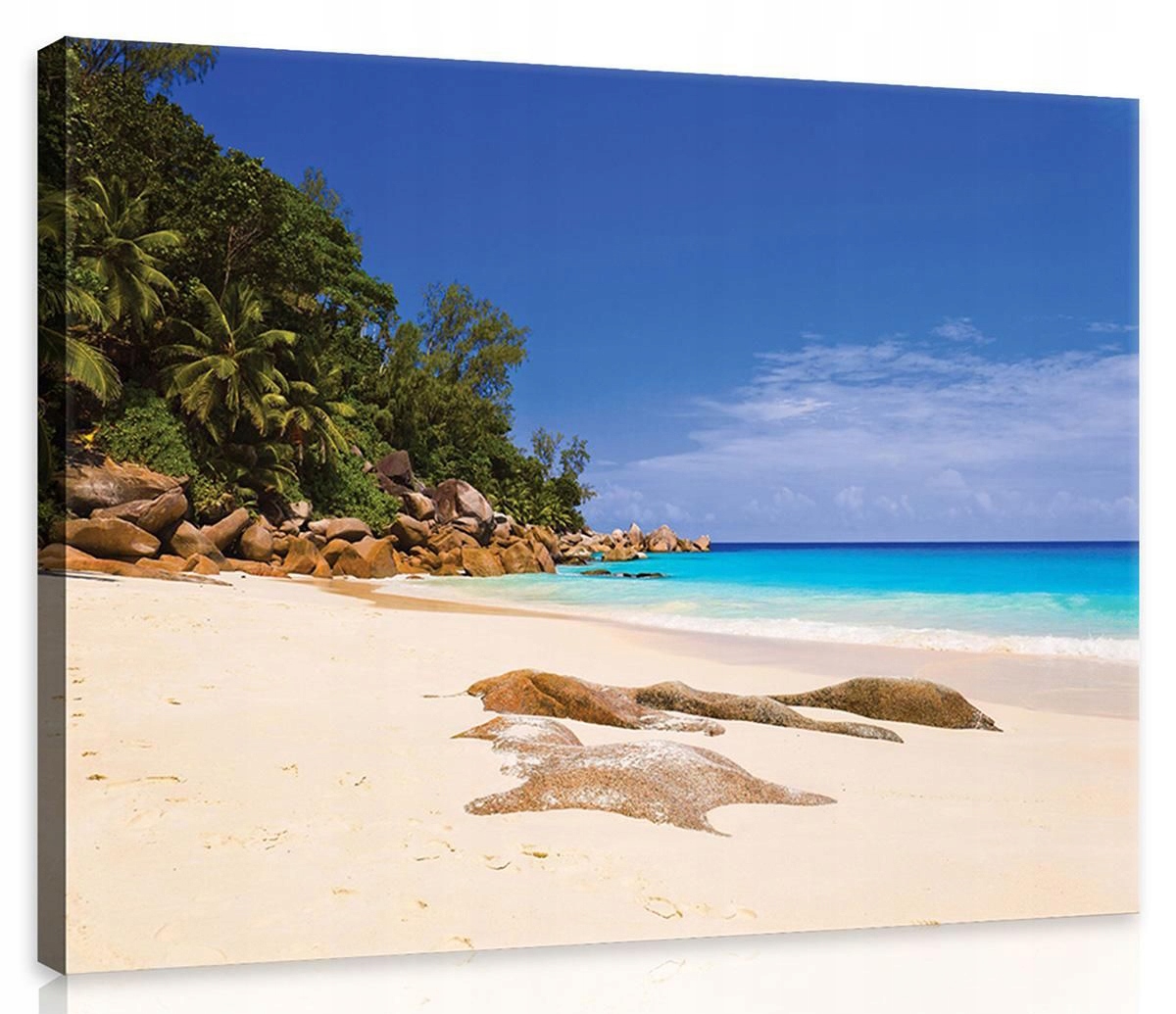 Obraz Na Plátně Canvas 80x60 Pláž Palmy Písek