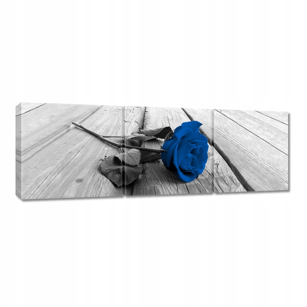 

Obrazy 120x40 Niebieska róża na deskach