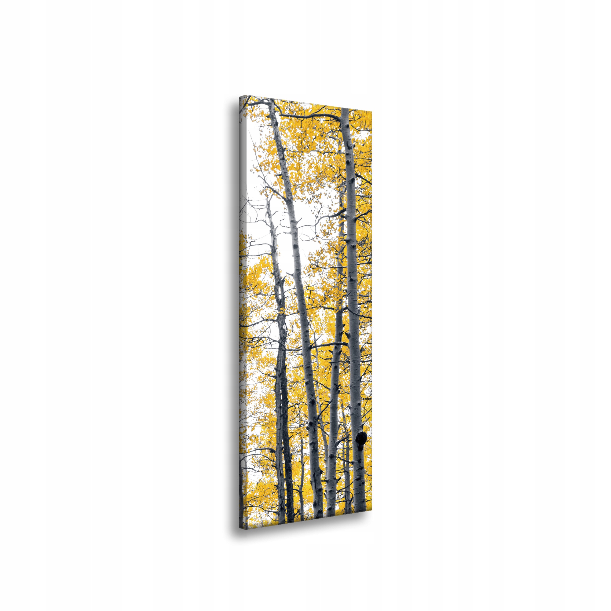 Obraz na plátně Břízy Žluté Listy Příroda Jaro 40x120 cm