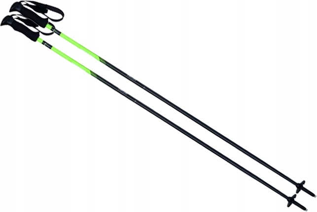 Kije narciarskie zjazdowe Kijki na narty Elan Amphibio 110cm CD351215