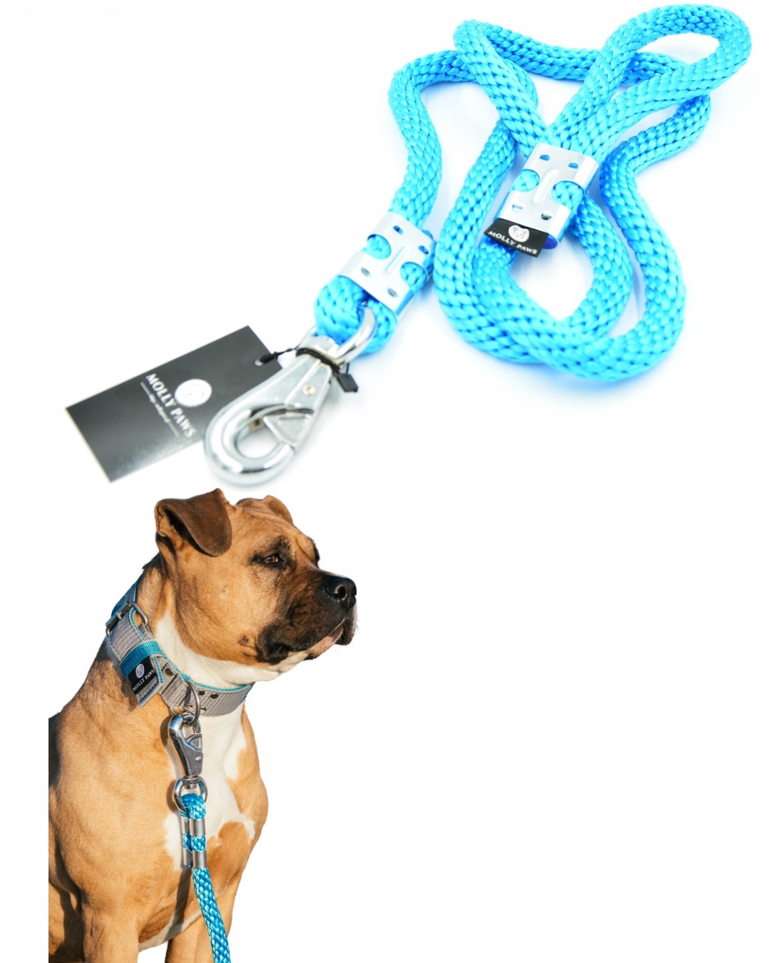 Levně Vodítko pro psa z lana o délce 240 cm K dispozici ve 4 barvách, Modré