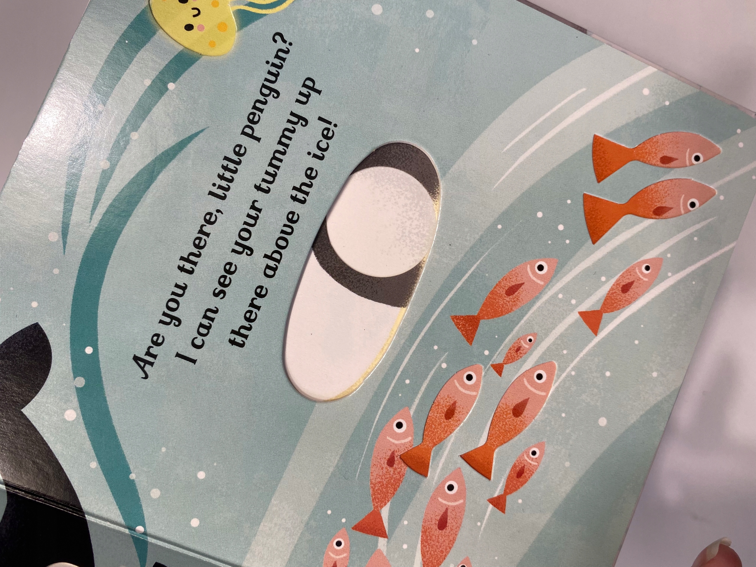 Are you there little penguin? (2021) Sam Taplin ISBN 9781474995498