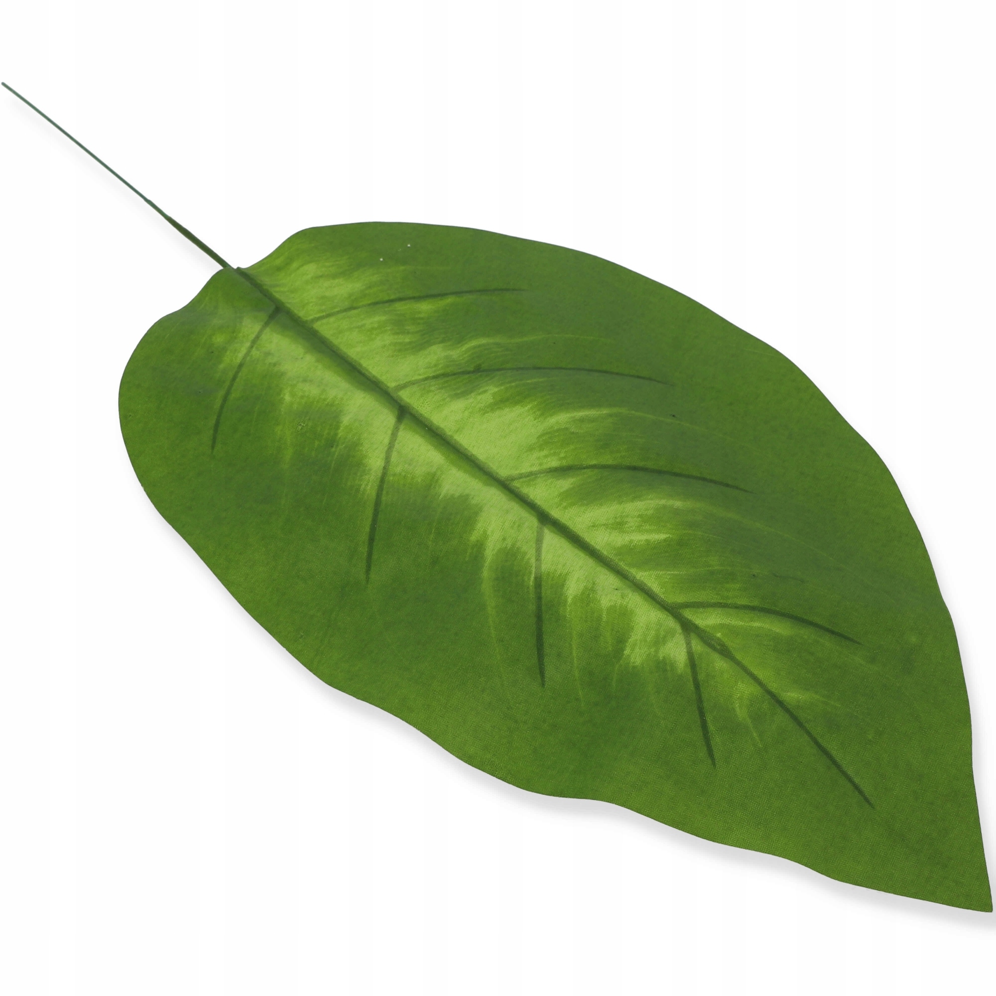 

Liść difenbachia 48cm sztuczny do wiązanek