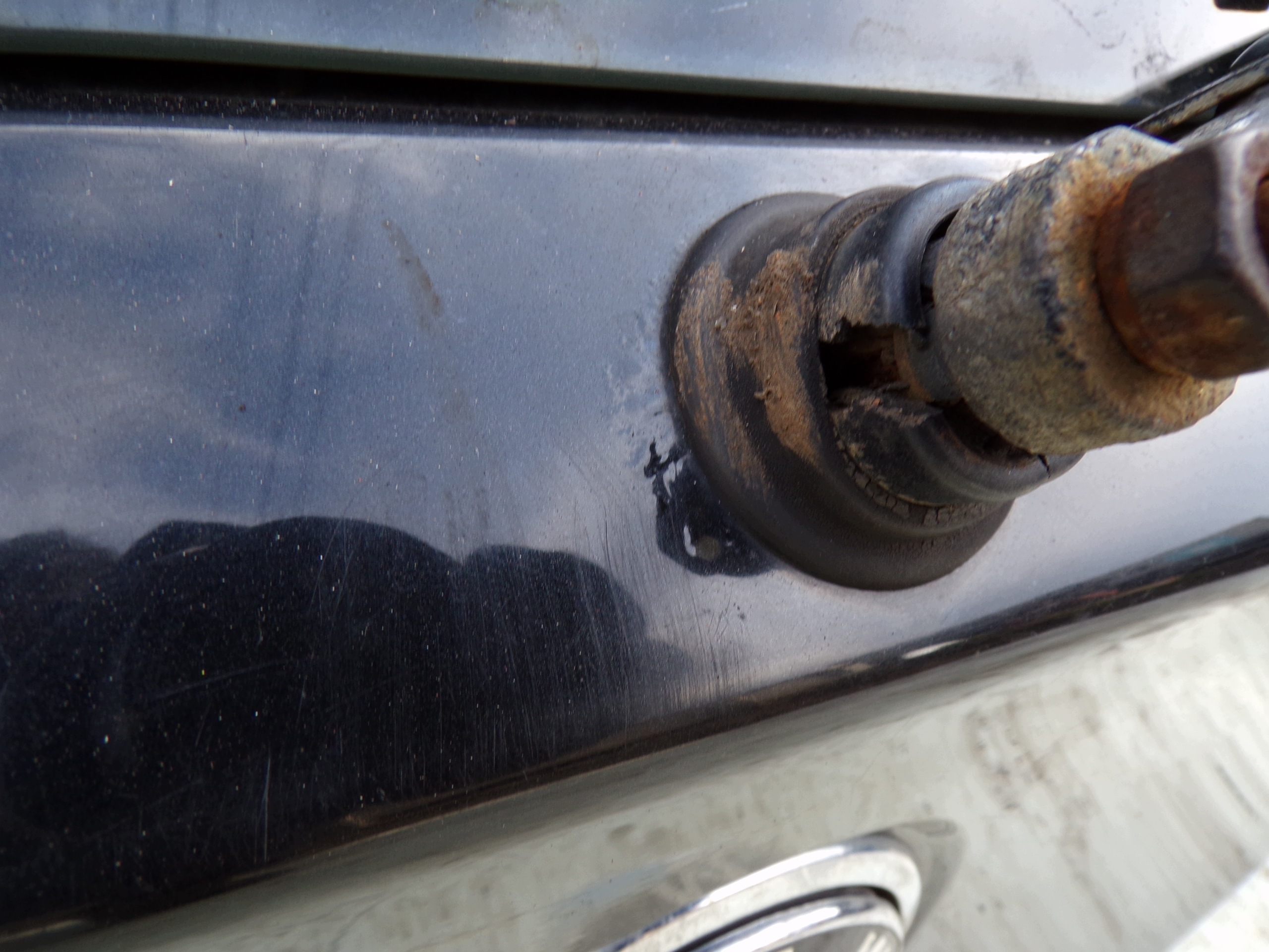 boot doors boot BMW E87 5D