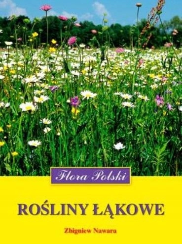 

Rośliny łąkowe