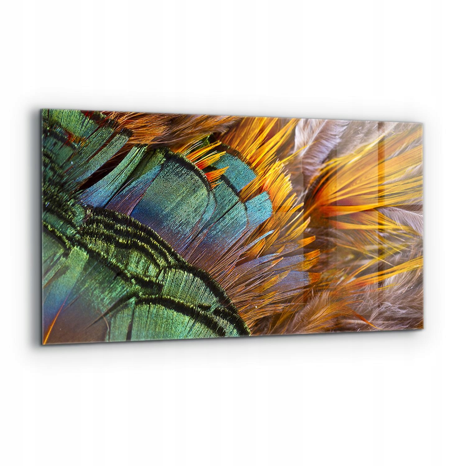 Dekoračný panel Kohút Exotické Perie 120x60 cm