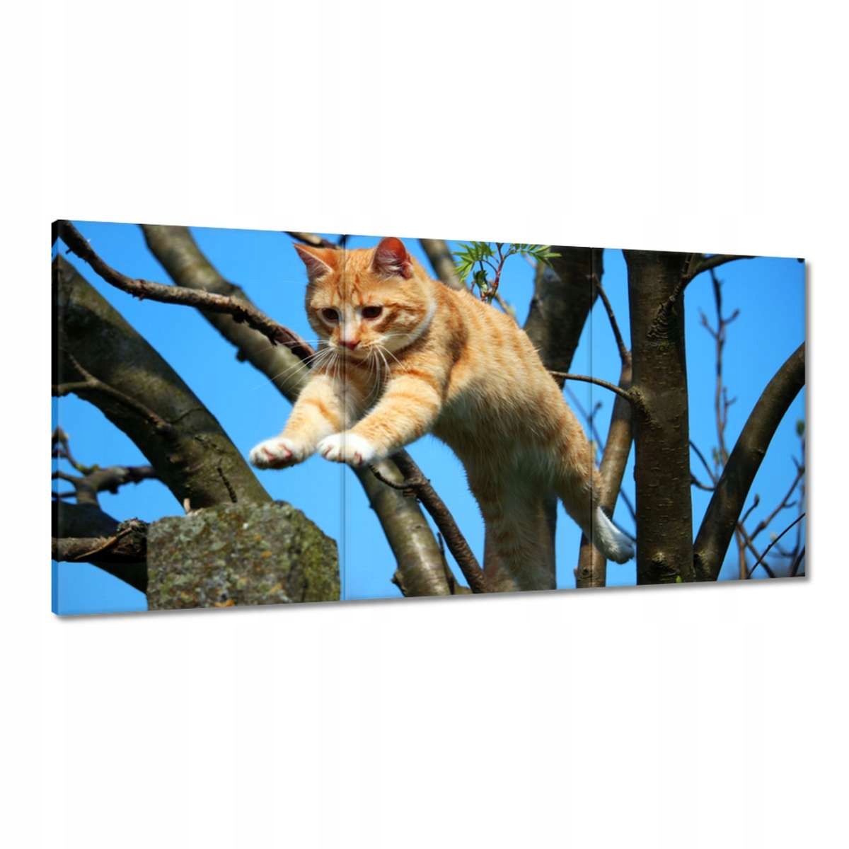 Obrazy 180x90 Mačka Mačky Kicia