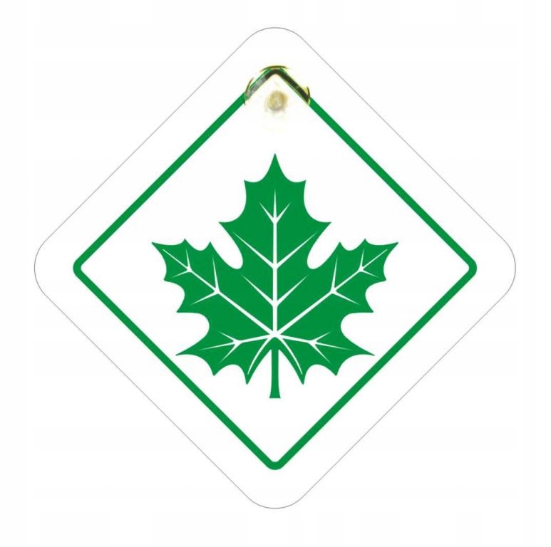 Naklejka Zielony Listek emblemat na przyssawkę