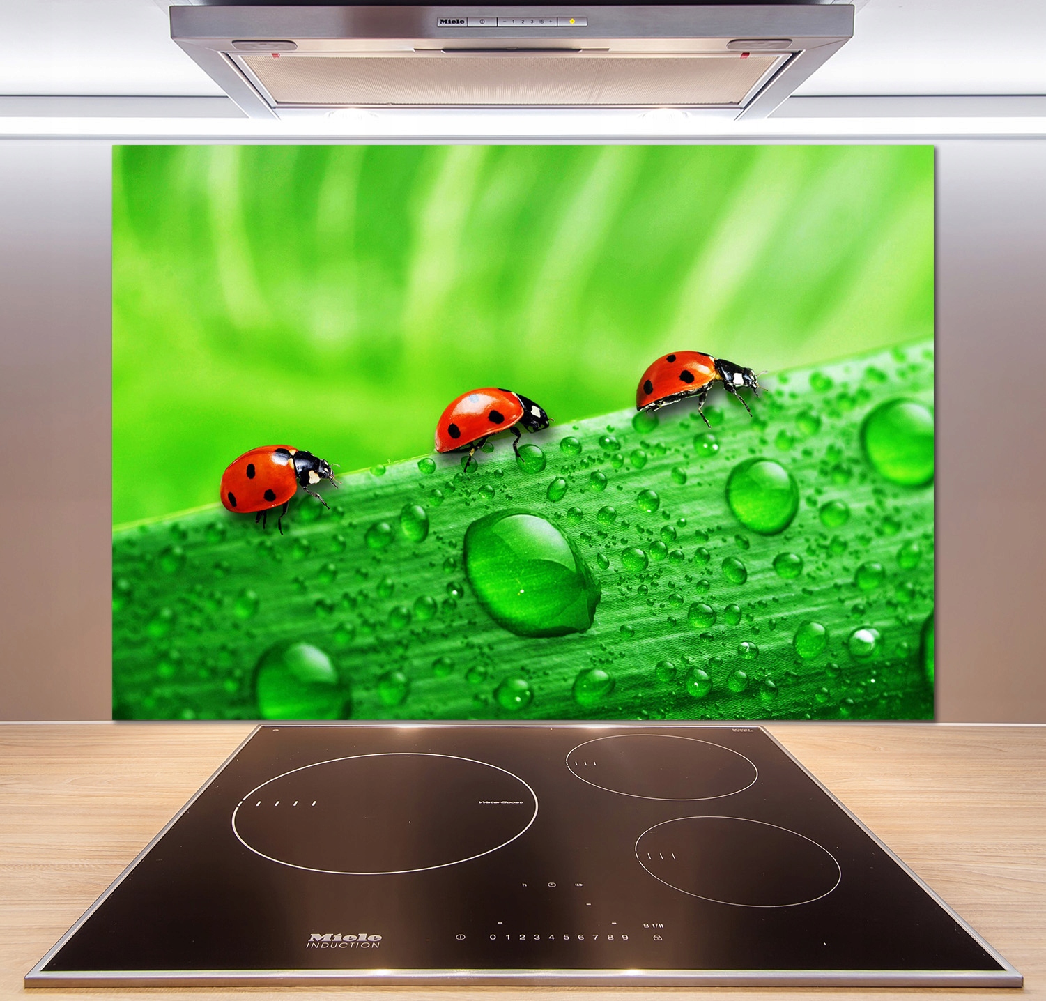 

Panel lacobel Biedronki na trawie 100x70 cm + Klej