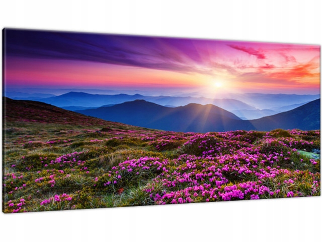

obraz na płótnie 115x55 góry kwiaty zachód natura