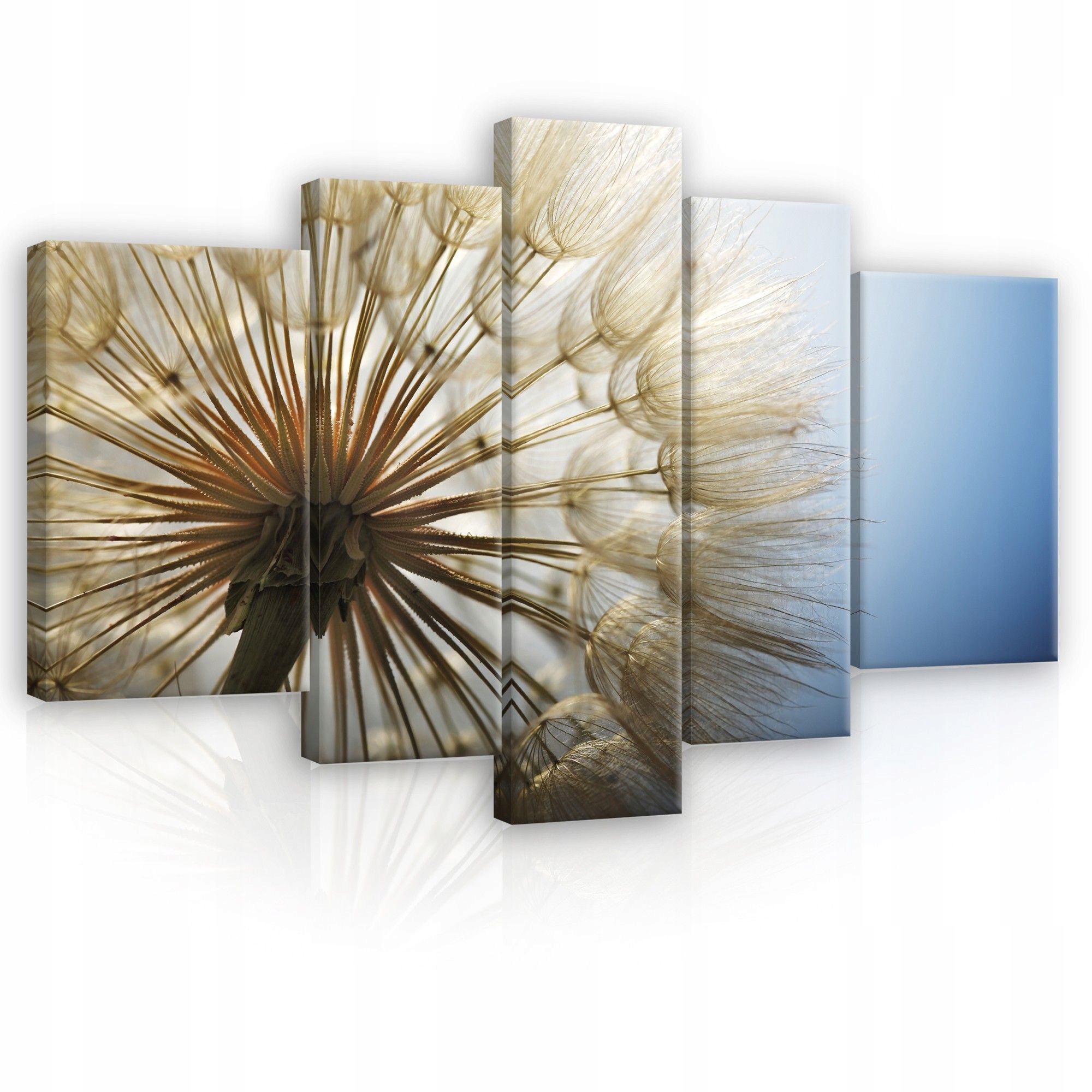 Obraz 170x100 Pampeliška lékařská pampeliška semena příroda makro lehkost