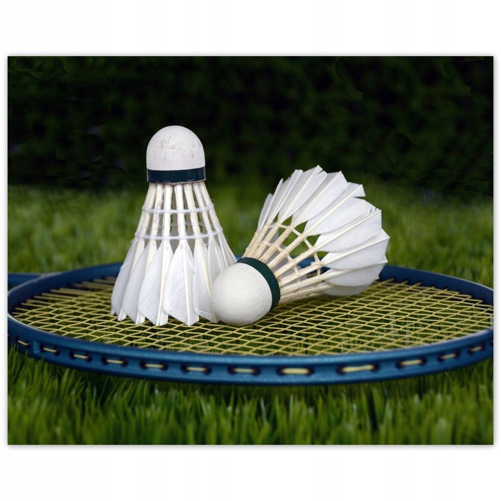 

Plakat 50x40 Paletki Lotki Badminton