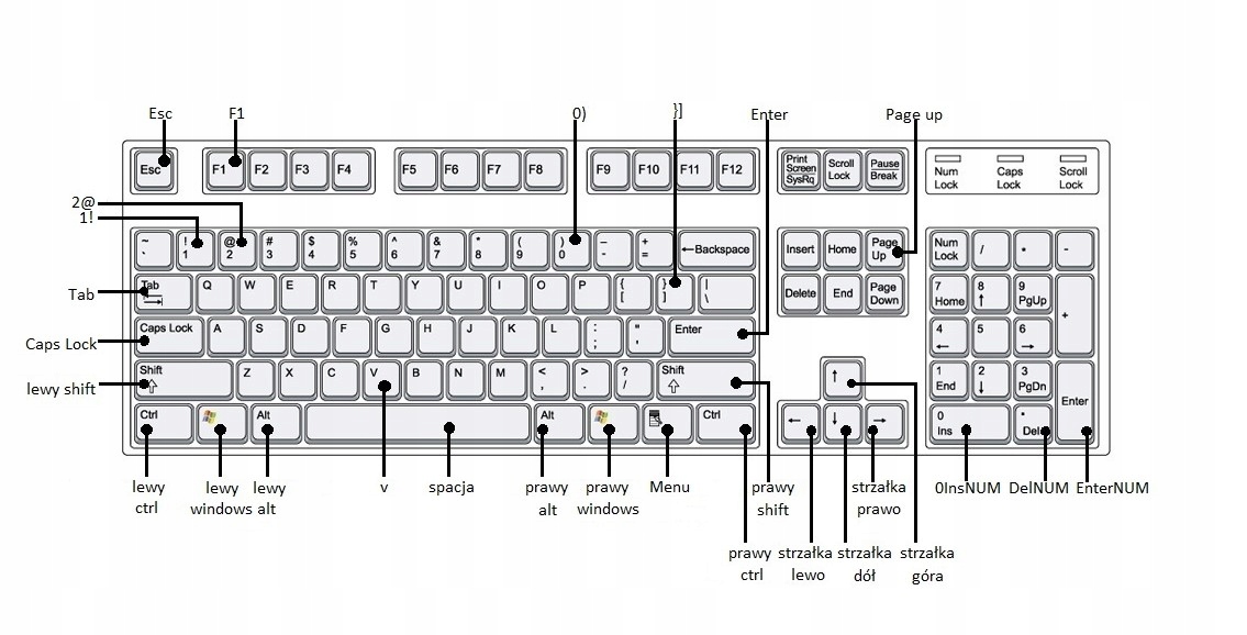 ST45 Klawisz przycisk do Logitech ULTRAX Y-BL49A +Filmik Typ klawiatury nożycowa