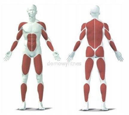 Wioślarz wodny Christopeit Sport WP 1500 Duży Bluetooth Kinomap Waga koła zamachowego 0 kg