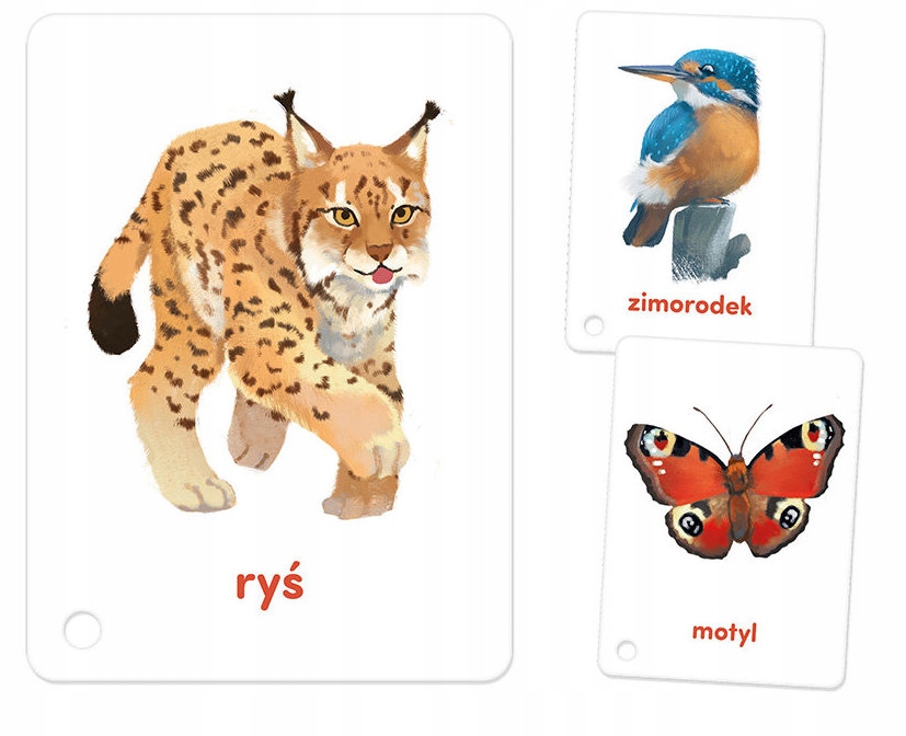 CZUCZU CZU CZU KARTY OBRAZKOWE ZWIERZĘTA 2+ Marka CzuCzu