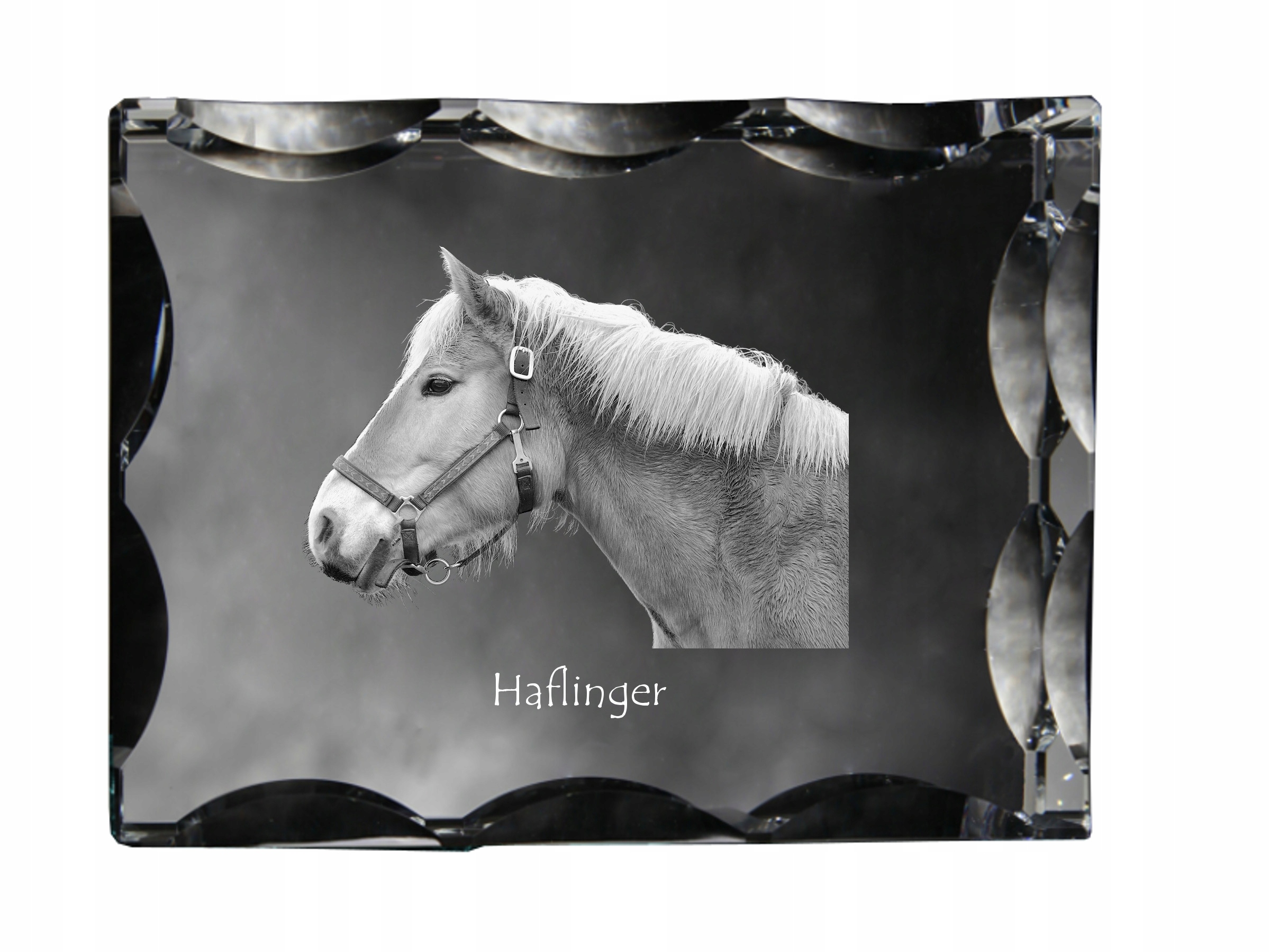 Kôň Haflinger fotografia v ozdobnom kryštáli, suvenír, dekorácia domu