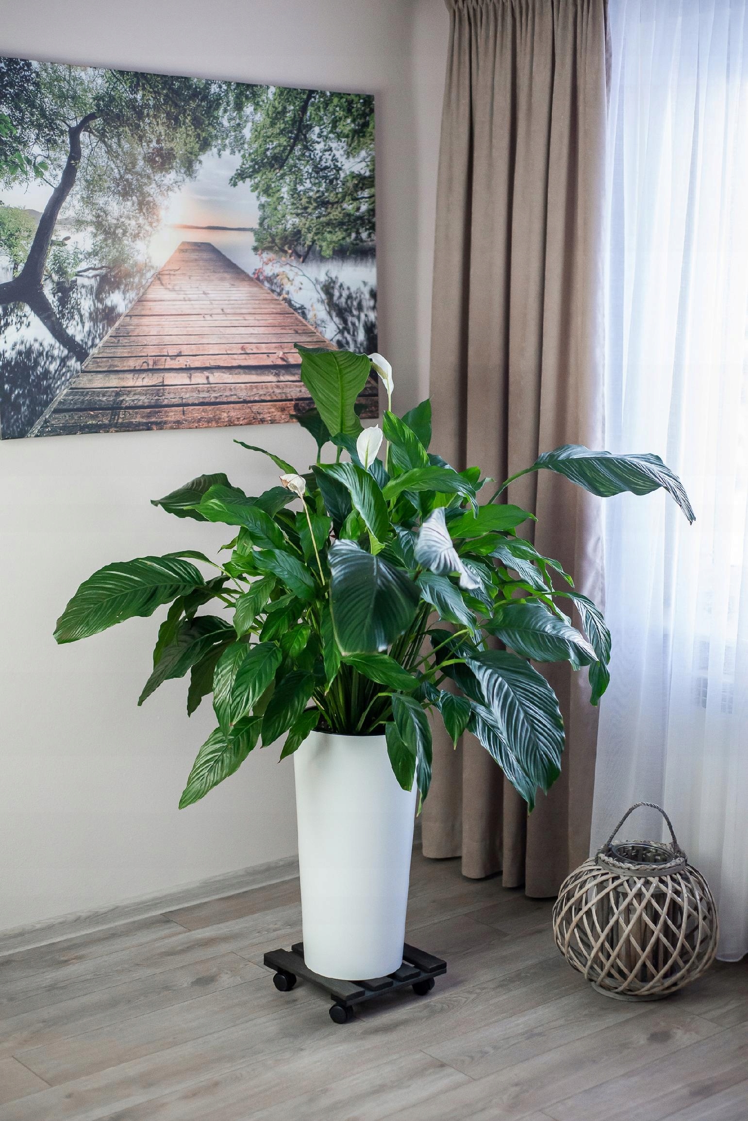 PODEST PODSTAWKA DREWNIANA POD KWIATEK DONICĘ DONICZKĘ NA KÓŁKACH SOLIDNA Długość 30 cm