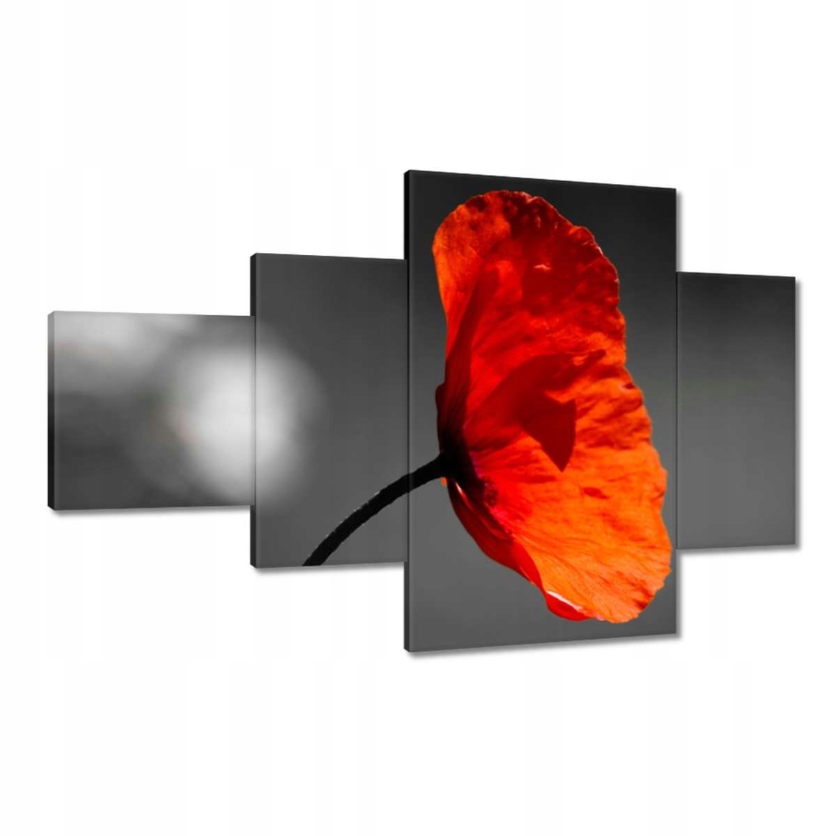 Obrazy 130x80 Rozkvetlý červený mák