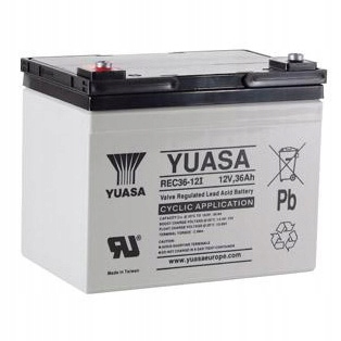 Yuasa REC36-12I 12V 36Ah