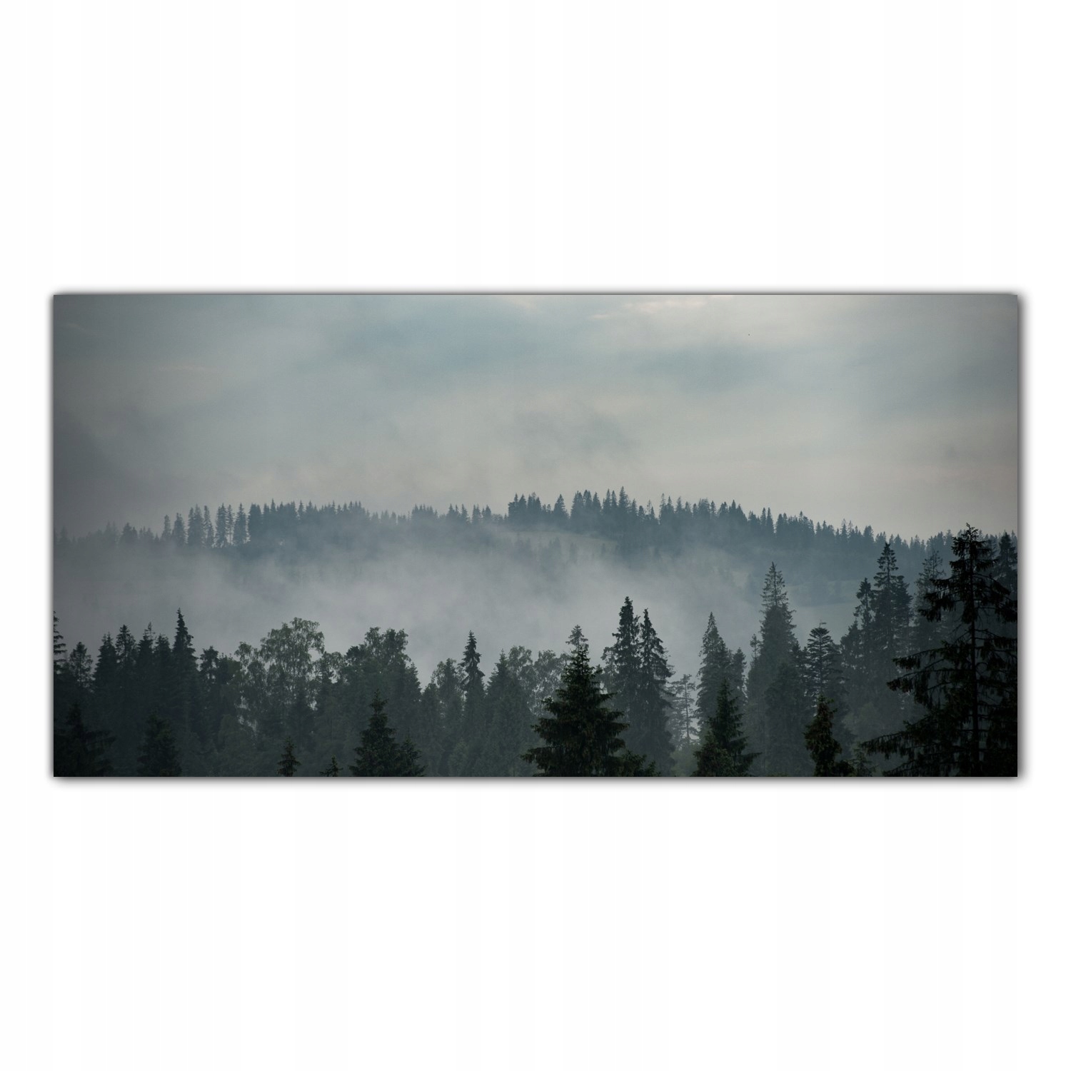 

Obraz na szkle Foto Góry Las Mgła Krajobraz 140x70