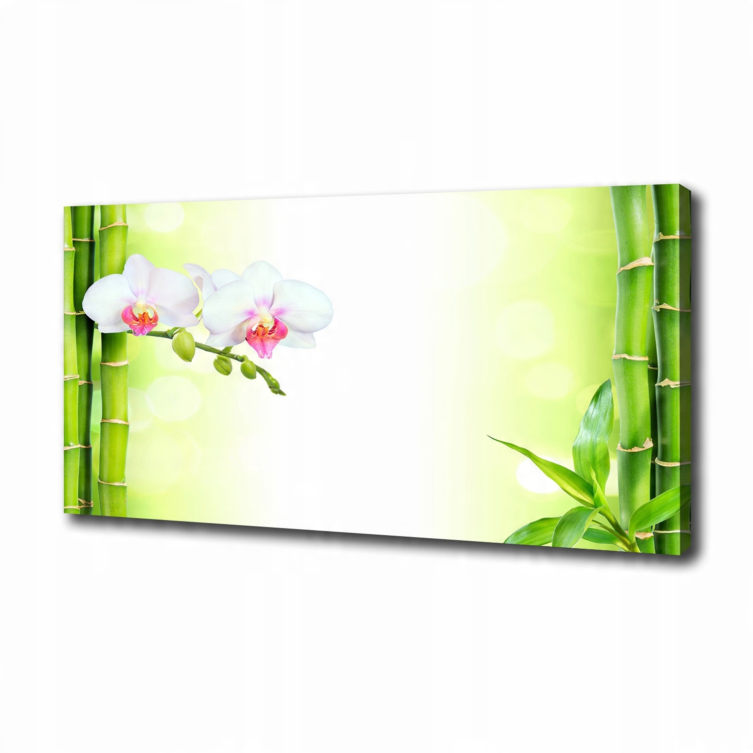 

Foto obraz na płótnie Orchidea i bambus 100x50 cm