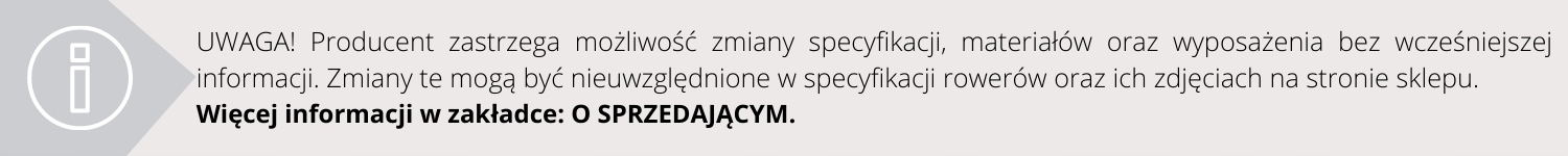 Rower miejski MAXIM MC 1.4.21 Szary 2022 18' Model MAXIM MC 1.4.21 Szary